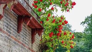 A brick building with a balcony and a climbing rose bush. - Lundsgaard Gods Badehotel (Kerteminde)
