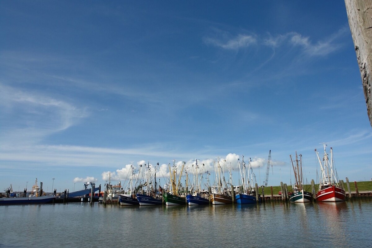 Image de profil de l’hôte