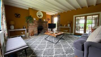 Télévision, cheminée, livres, chaîne hi-fi