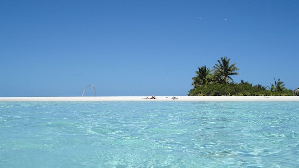 A clear turquoise sea with a sandy beach and palm trees. - Only 4 bedroom with a view of Main Street located in the Downtown Core District (Dunedin)