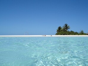 Helder turquoise water met een zandstrand en palmbomen.