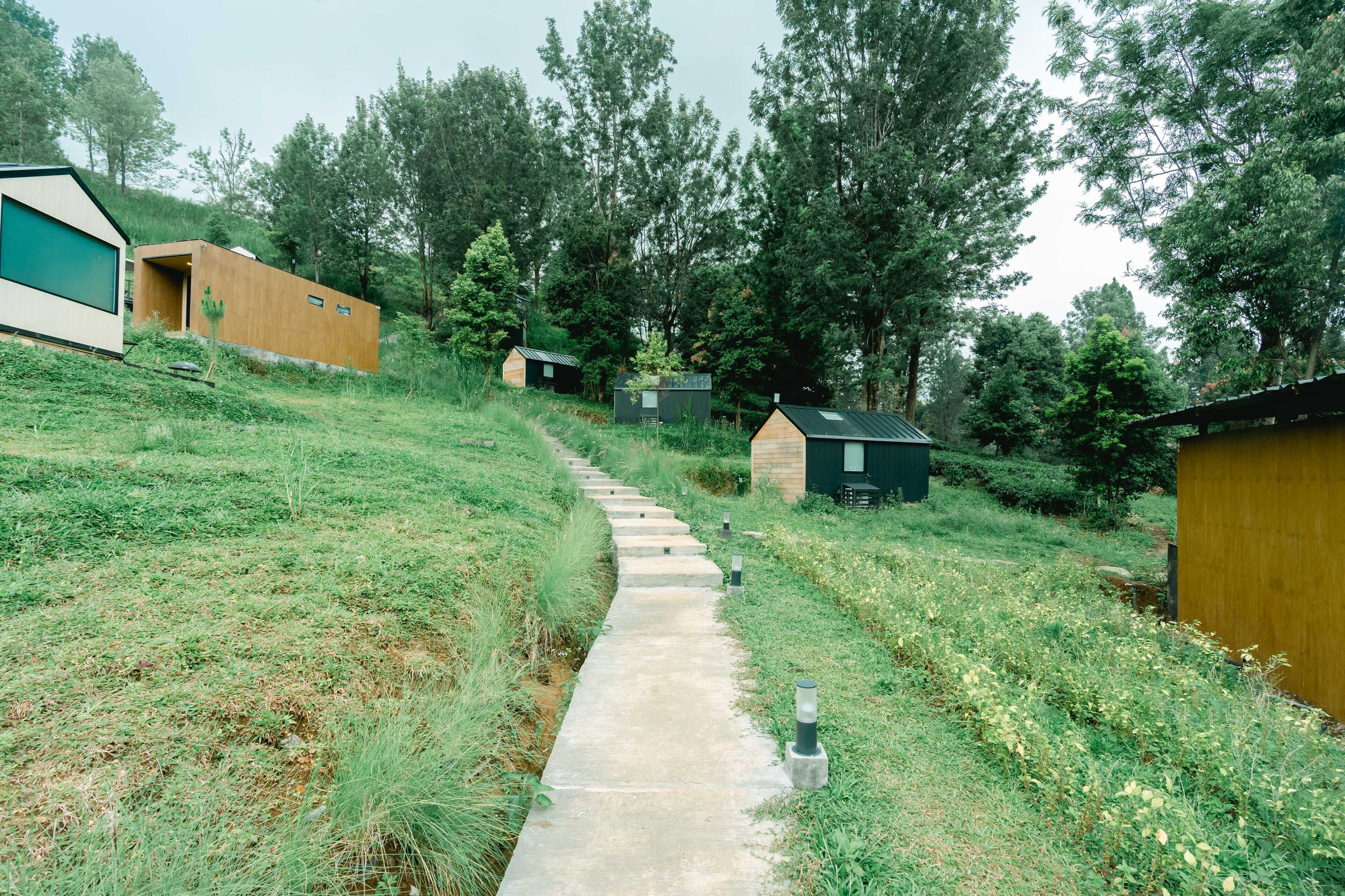 Un sendero que conduce a varias cabañas de madera rodeadas de abundante vegetación y árboles.