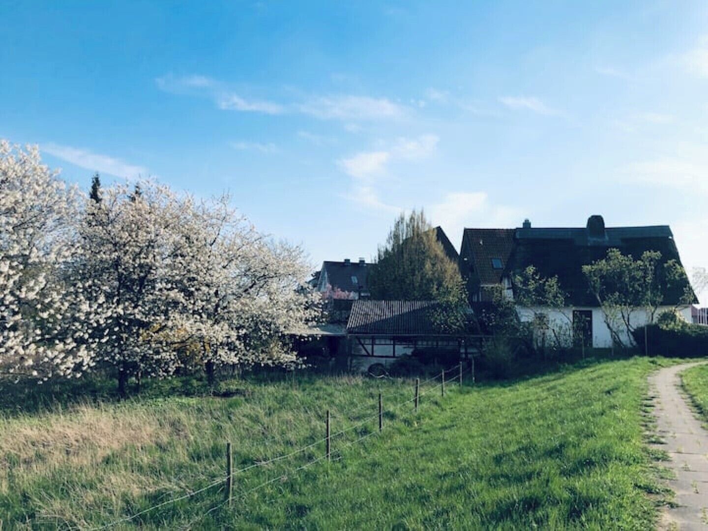 Ländliche Gegend mit einem Haus, einem eingezäunten Bereich und blauem Himmel.