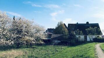 Ländliche Gegend mit einem Haus, einem eingezäunten Bereich und blauem Himmel.