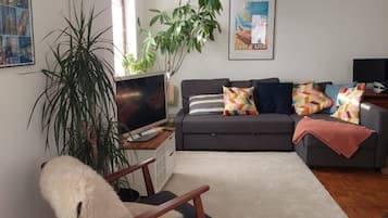 TV connectée, livres, chaßne hi-fi, écrans d'ordinateur