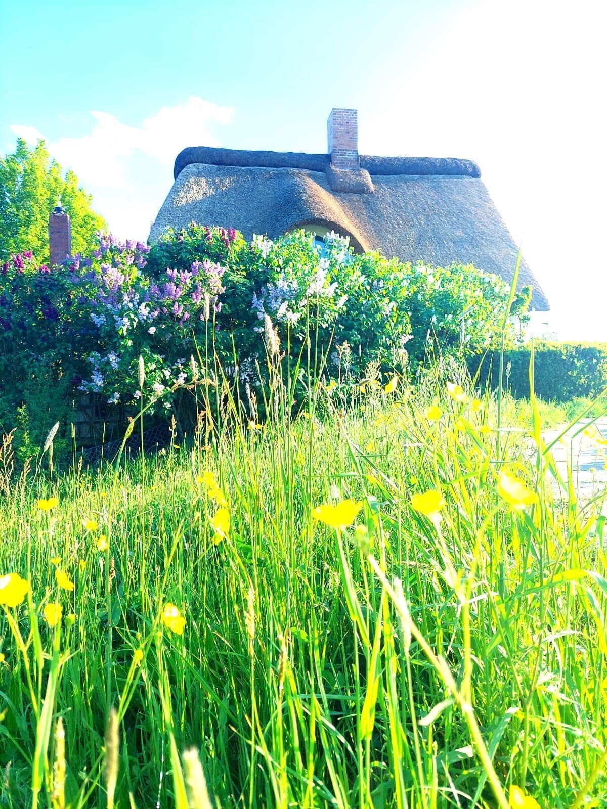 A thatched-roof house with a garden in front.