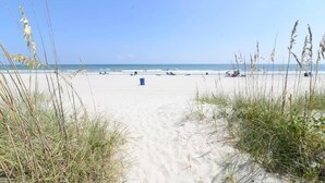 Uma praia de areia com grama alta ao primeiro plano e um céu azul límpido.