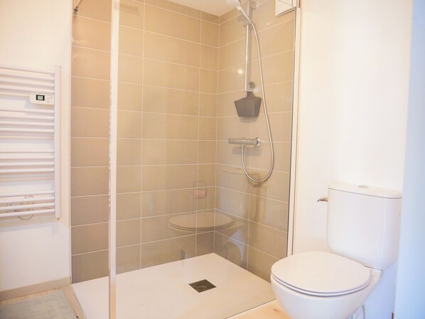 A bathroom with a shower, toilet, and a small sink.
