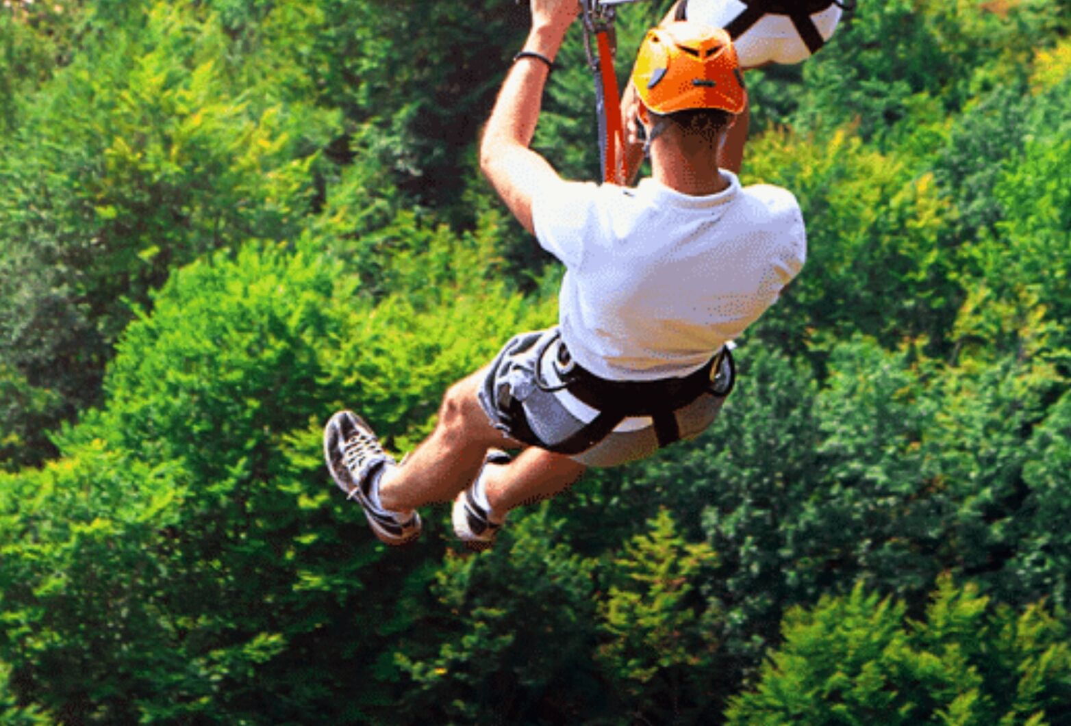 A person zip-lining through a forest.