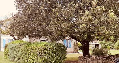 Gite de Campagne Rénové sur une Propriété de 17 Hectares