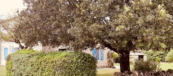 Gite de Campagne Rénové sur une Propriété de 17 Hectares