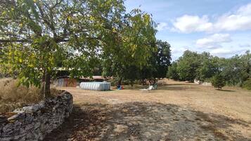 Áreas de la propiedad