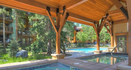 Fully Renovated Mountain Modern Gem - Walk to the lifts!