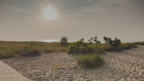在海灘附近