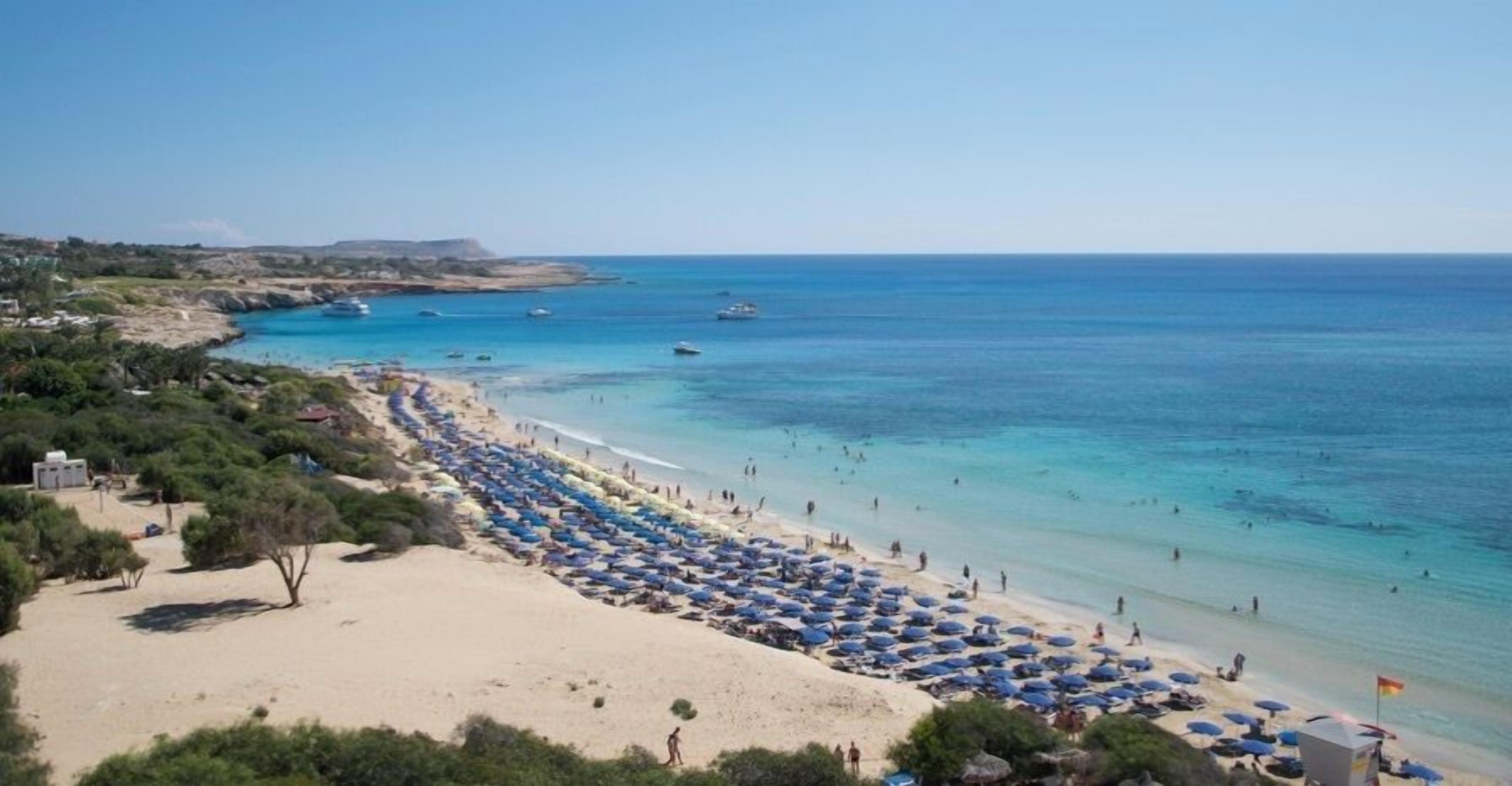 Una platja amb files de papereres i persones.