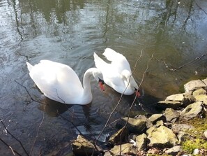 Shower, hair dryer, towels, soap - 2 Bedroom Apartment in Bad Marienberg (Westerwald) (Bad Marienberg (Westerwald))