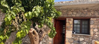 Stone Studio House in Oren - Milas