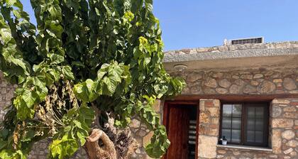 Stone Studio House in Oren - Milas