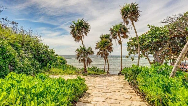 Een pad van stenen dat naar een strand leidt, met palmbomen en weelderige begroeiing.