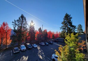 Apartment | 1 bedroom - Walk to Downtown Bend River Fireplace Quiet (Bend)