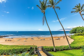 A beach with palm trees, a clear sky, and the ocean.