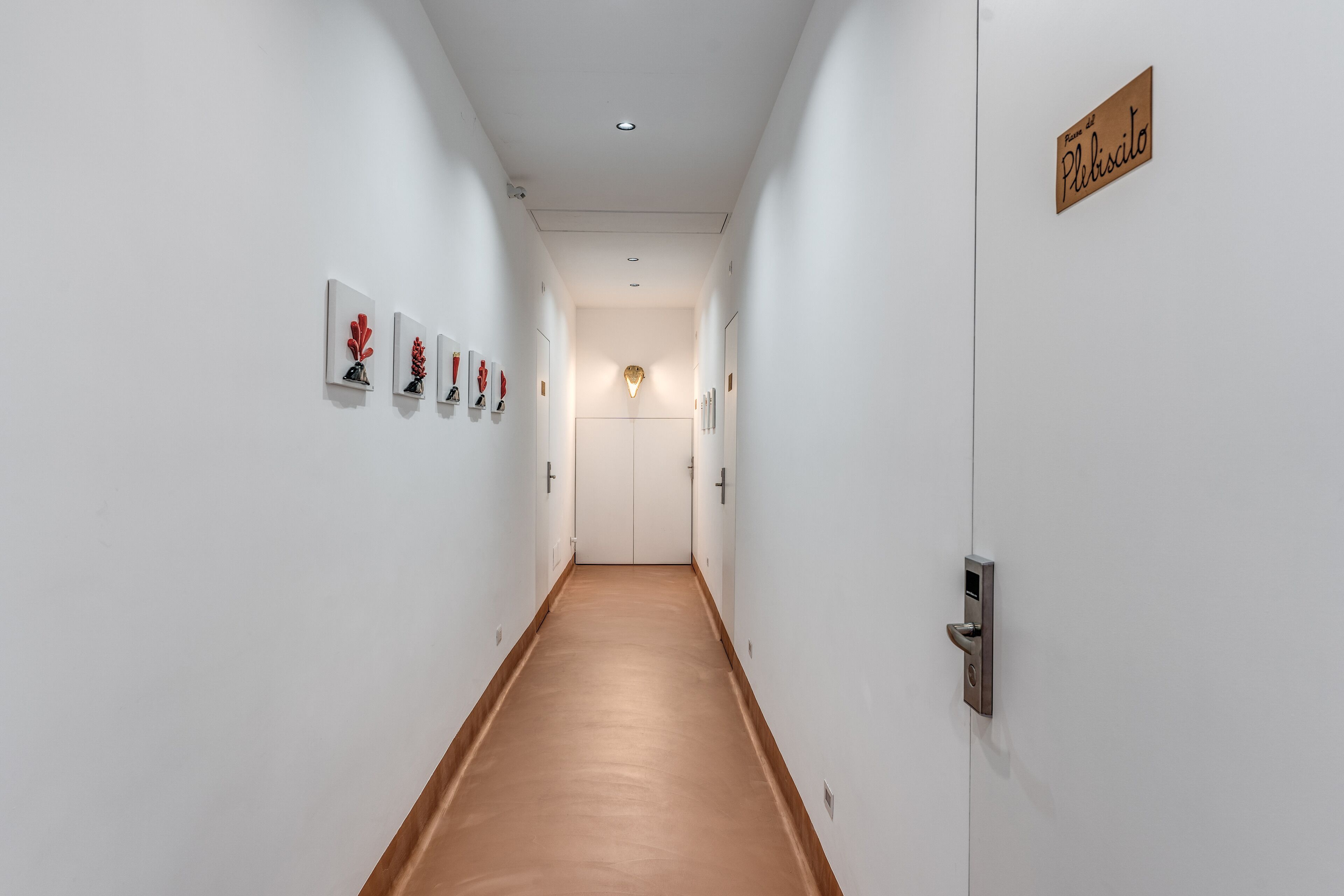 A hallway with white walls, a wooden floor, and a door with a sign reading "Pliskilo".