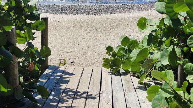 A wooden deck leading to a beach with clear blue water and distant mountains. - Private Ocean Front Via Maris Villa with Big Pool @ Culebra, Recently Refreshed! (Culebra)