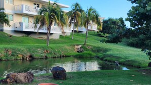 A riverside view with a building, palm trees, and a small pond. - Private Ocean Front Via Maris Villa with Big Pool @ Culebra, Recently Refreshed! (Culebra)