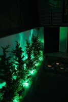 Een kamer met een kunstbos verlicht in groen en een stenen openhaard.