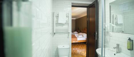 A modern bathroom with a glass shower enclosure, a white sink, and a toilet.