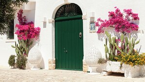 Um edifício branco com uma porta verde, grandes vasos com plantas de flores rosa e uma parede branca com um pequeno quadro.