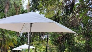 Un espace aménagé au bord de la piscine, avec des chaises longues et des parasols, entouré d’une végétation luxuriante.