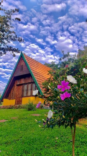 Bungalow Confort | Wi-Fi gratuit