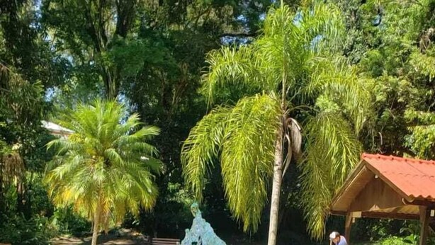 Une piscine à l’eau d’un bleu cristallin, entourée d  ’une végétation luxuriante et agrémentée d’un belvédère en bois.