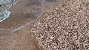 Una spiaggia con ciottoli e onde.