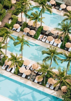 A pool area with multiple sun loungers and umbrellas, surrounded by palm trees.