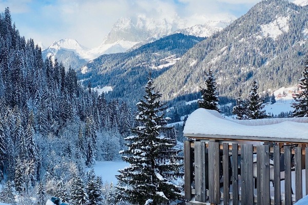 Winter view
Vue d'hiver