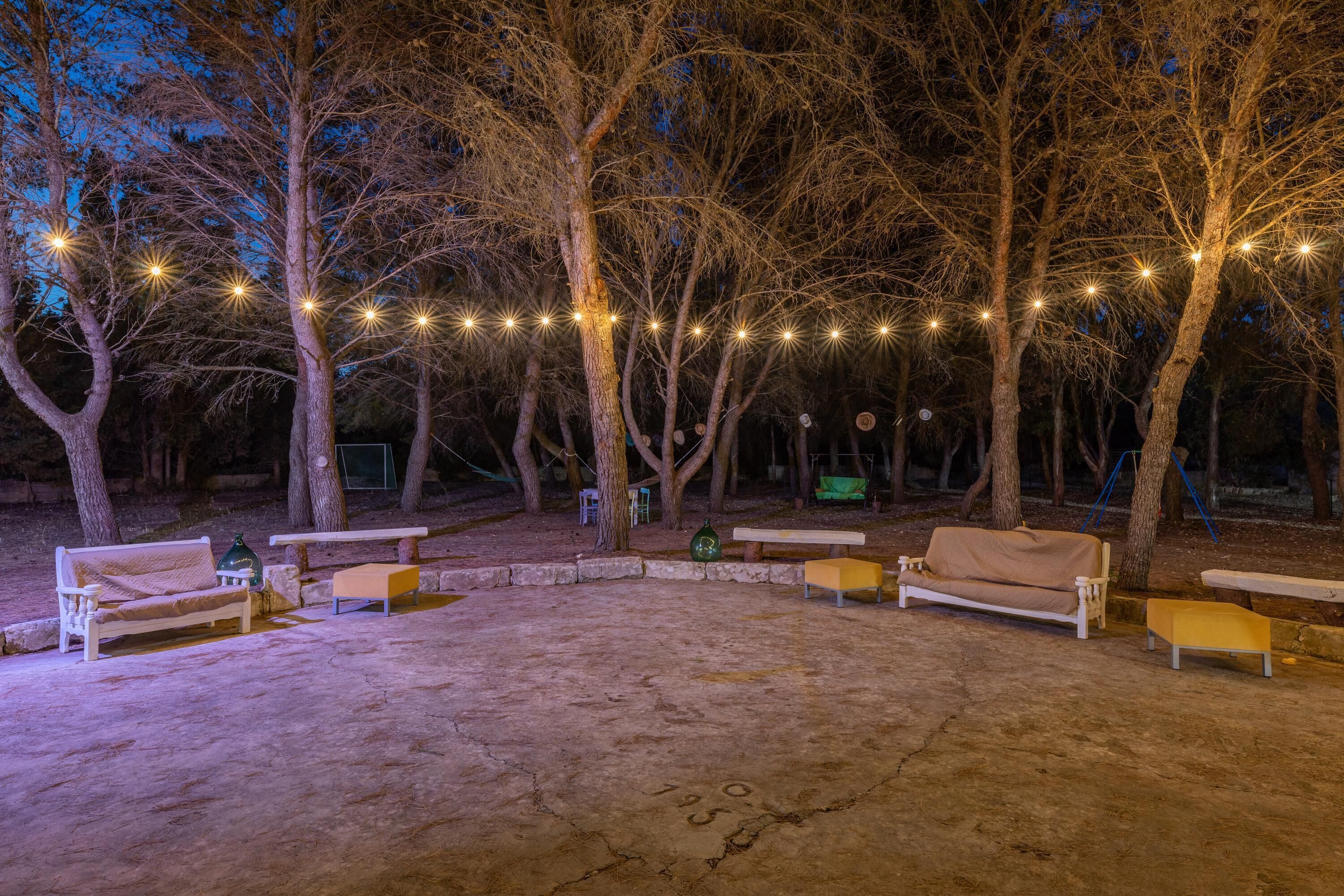 An outdoor seating area with benches and tables, surrounded by trees and string lights.