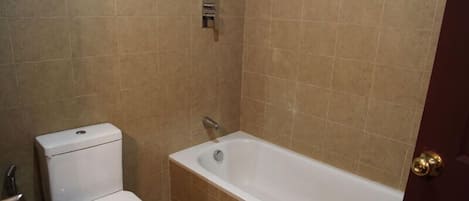 A bathroom with a toilet, a bathtub, and a shower.
