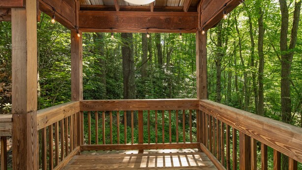 A wooden deck with a railing, surrounded by a forest.