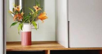 Green Trails Apartment - Completely renovated - Mountain view - City Center