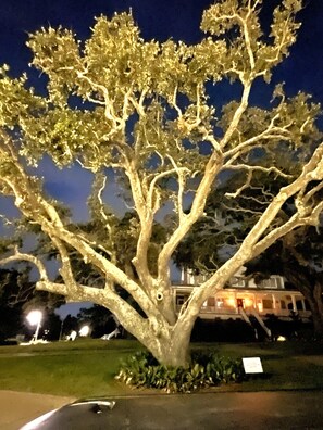 Property grounds - Beach Cottage Lafayette Circle (Ocean Springs)