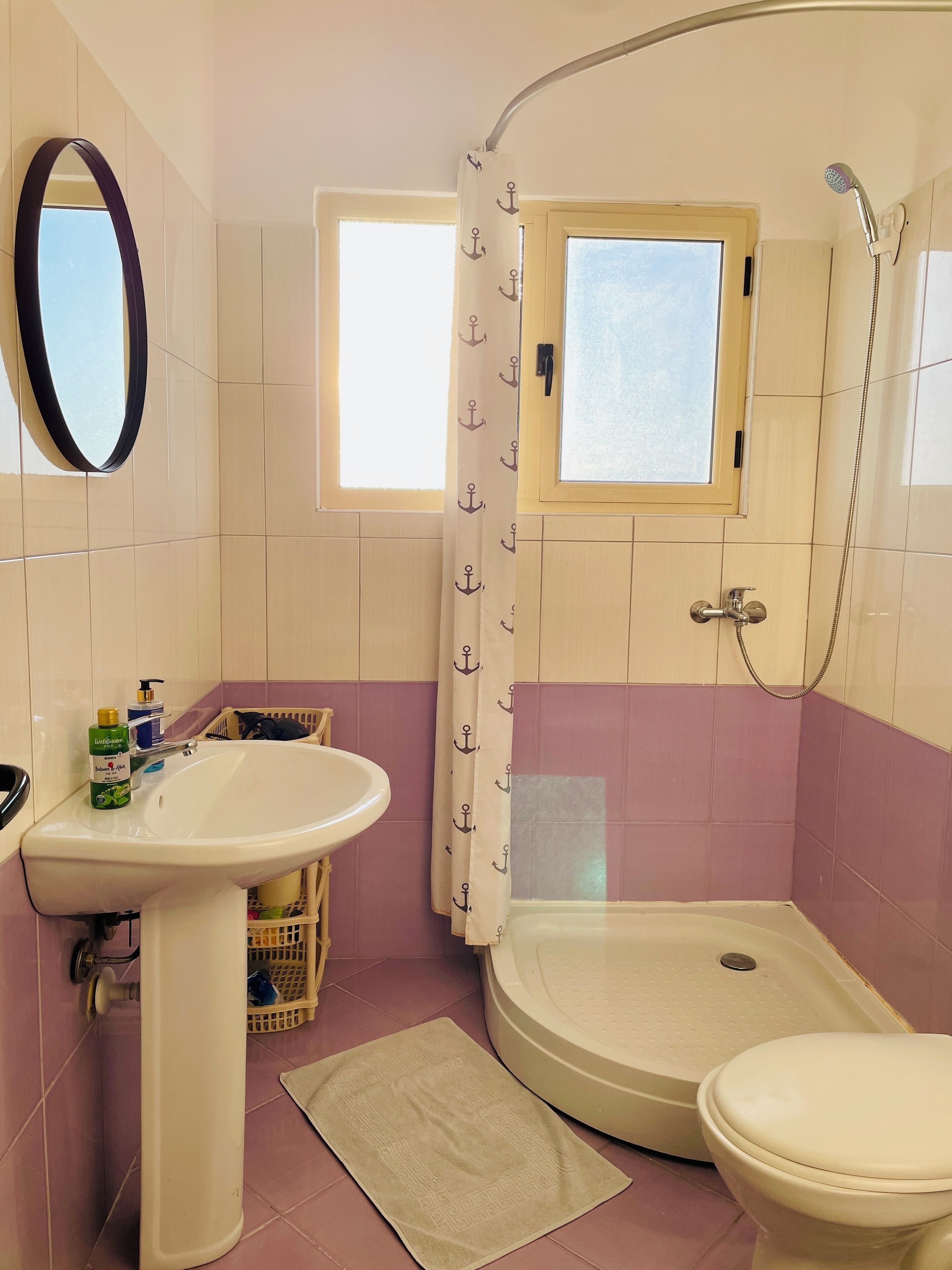 Shower, hair dryer, bidet, towels