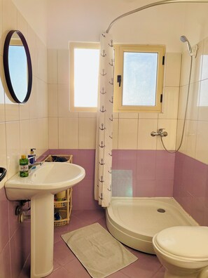 Shower, hair dryer, bidet, towels