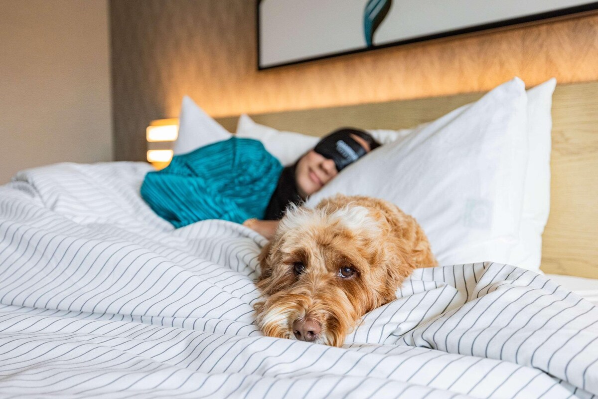 Una cama con ropa de cama a rayas y un perro acostado encima.