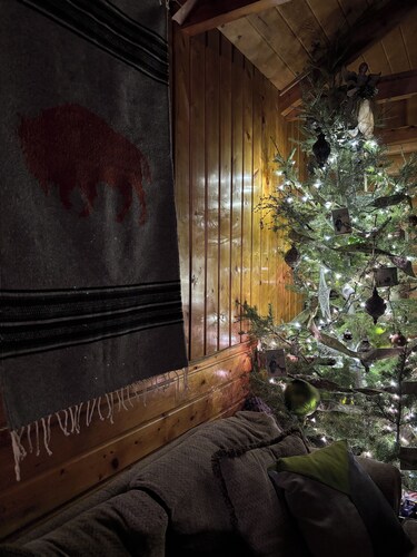 Gateway at the Crossroads! Yellowstone, Henry's Lake & Island Park-sleeps 9