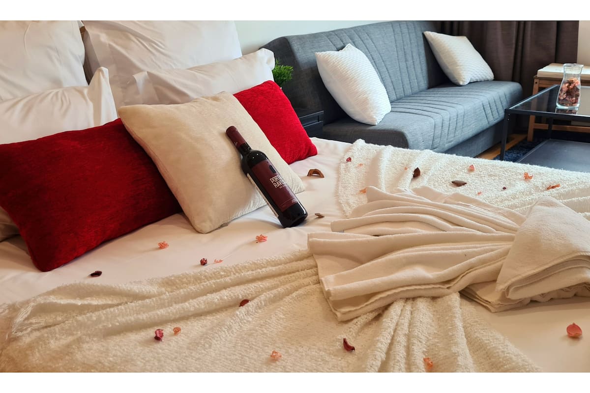 스탠다드 스튜디오 (Spacious flat in the center 5F) | 암막 커튼, 방음 설비, 다리미/다리미  판, 무료 WiFi