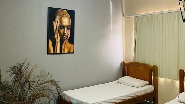 Una habitación con dos camas individuales, una lámpara en el techo, un cuadro en la pared y una planta en maceta.