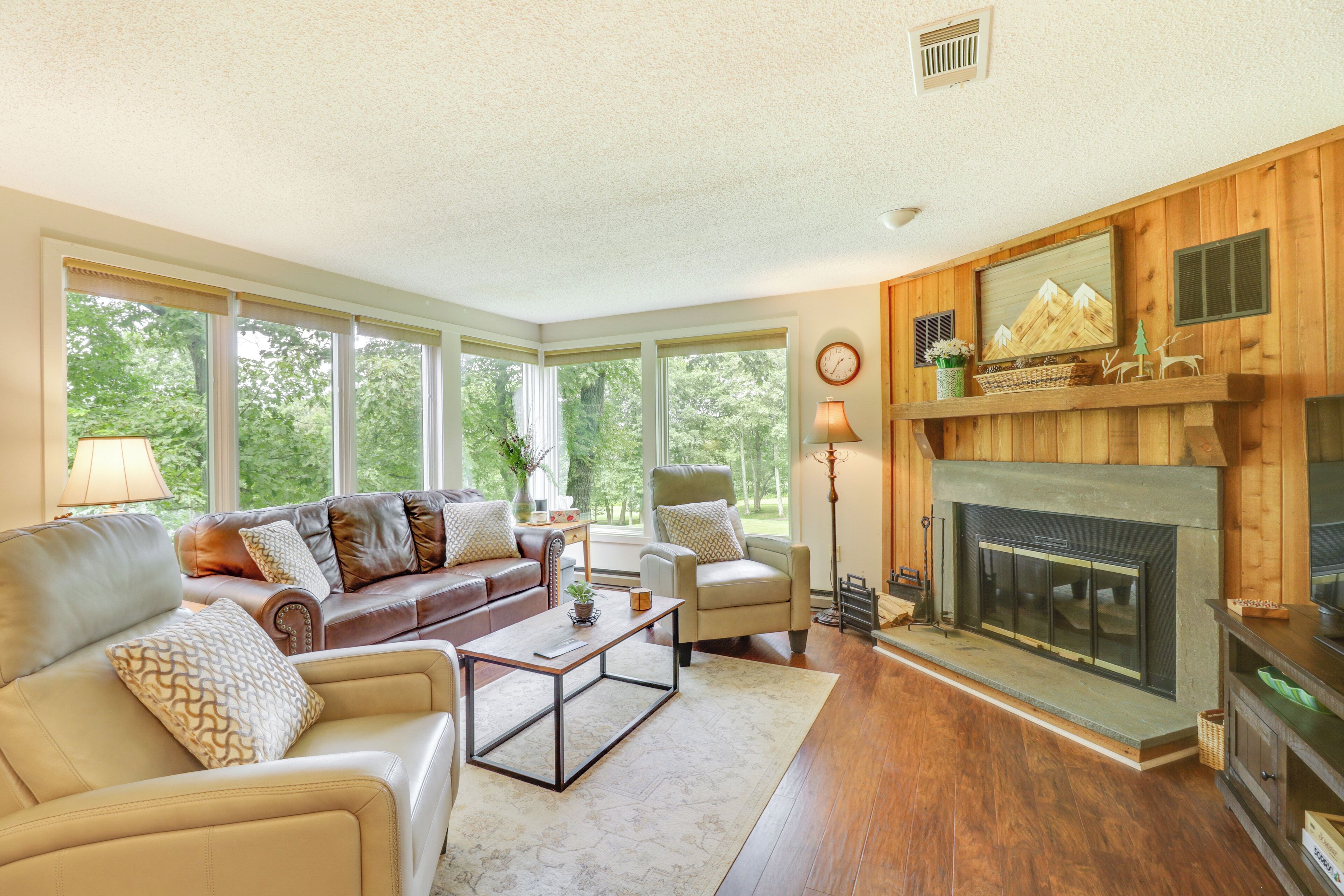 TV, fireplace, books