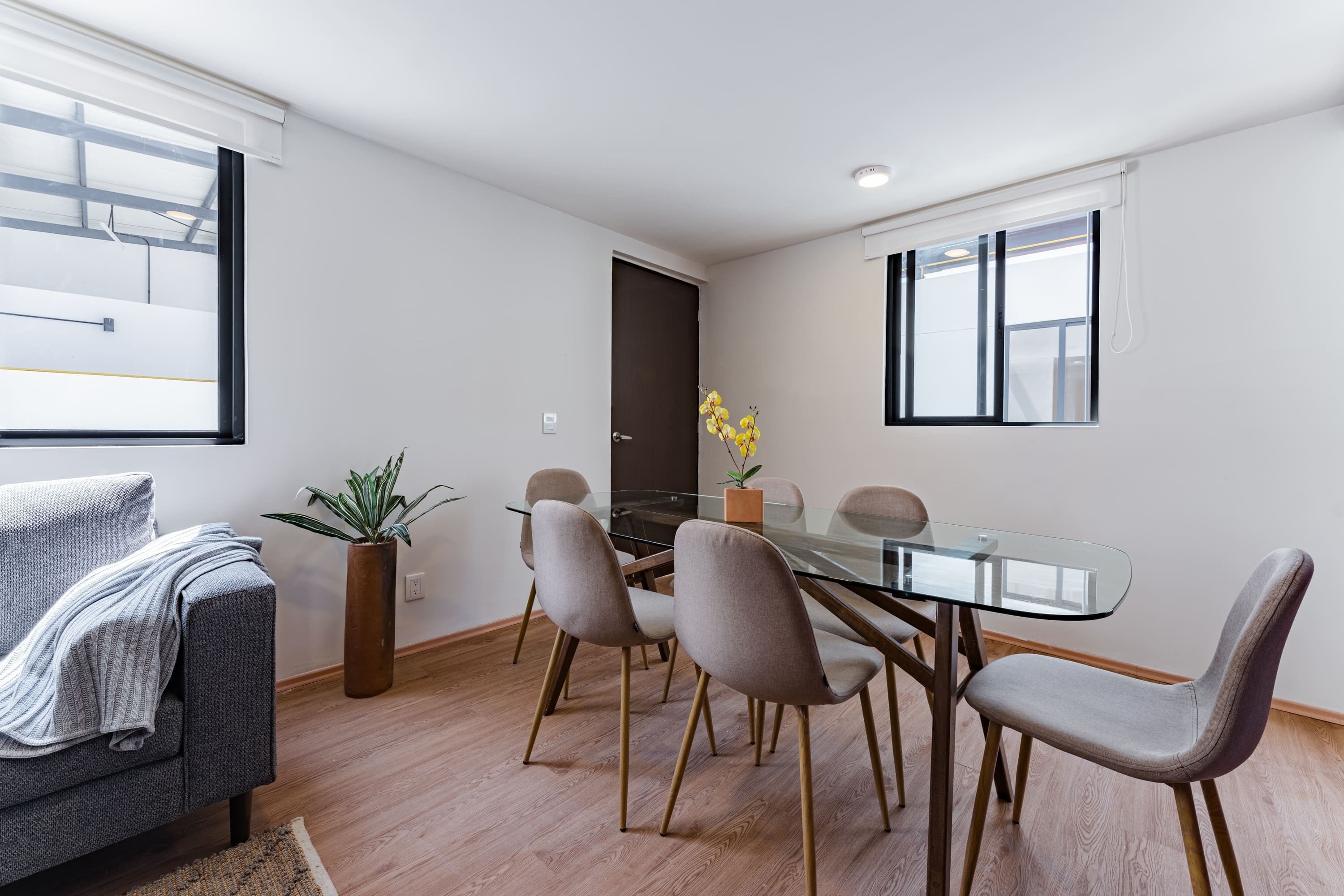 A modern dining area with a glass table, four chairs, a sofa, and a potted plant.